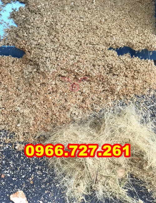 máy băm nghiền xơ dừa năng xuất lớn, băm dừa nguên trái