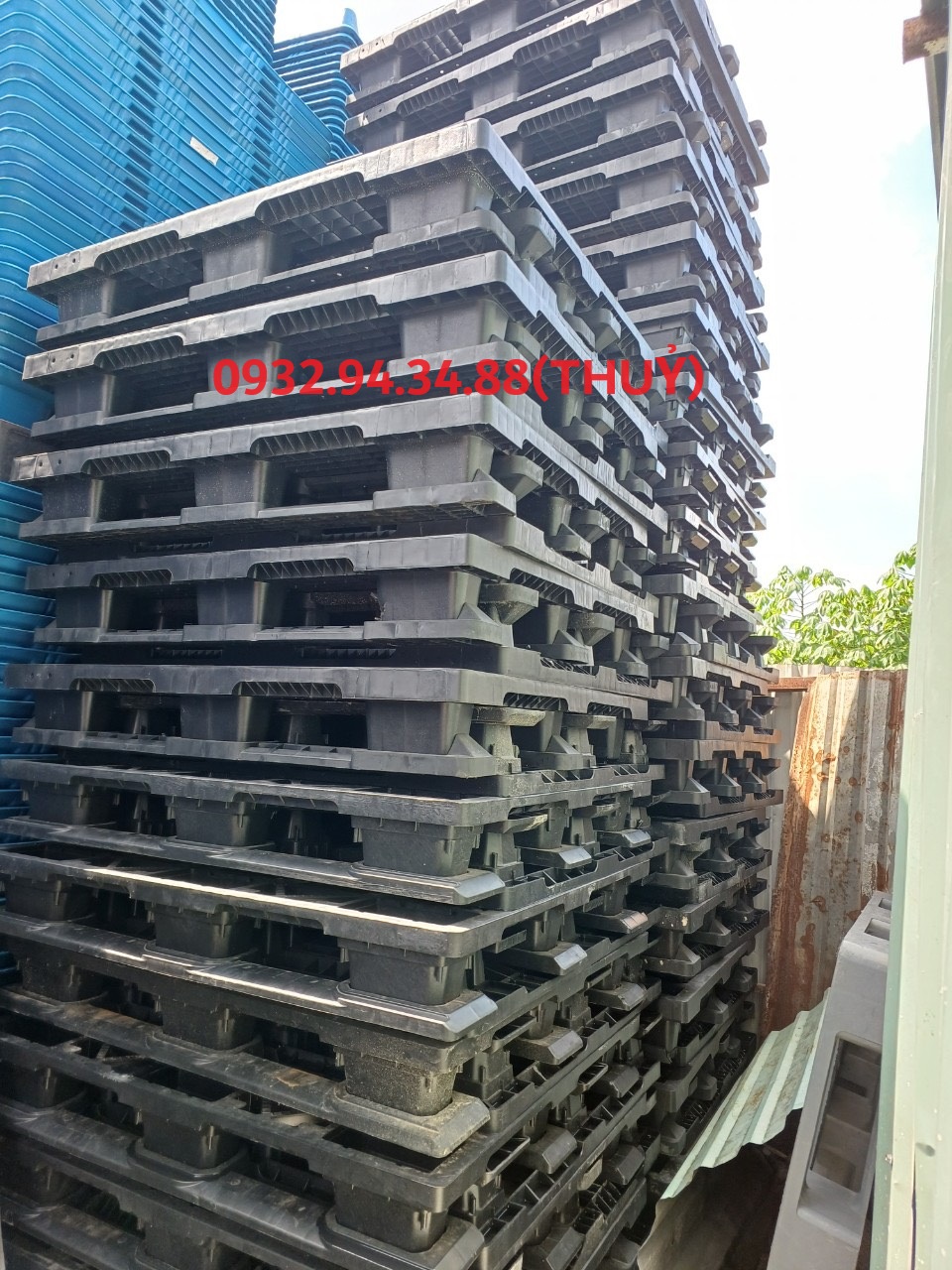 các loại pallet nhựa thông dụng hiện nay