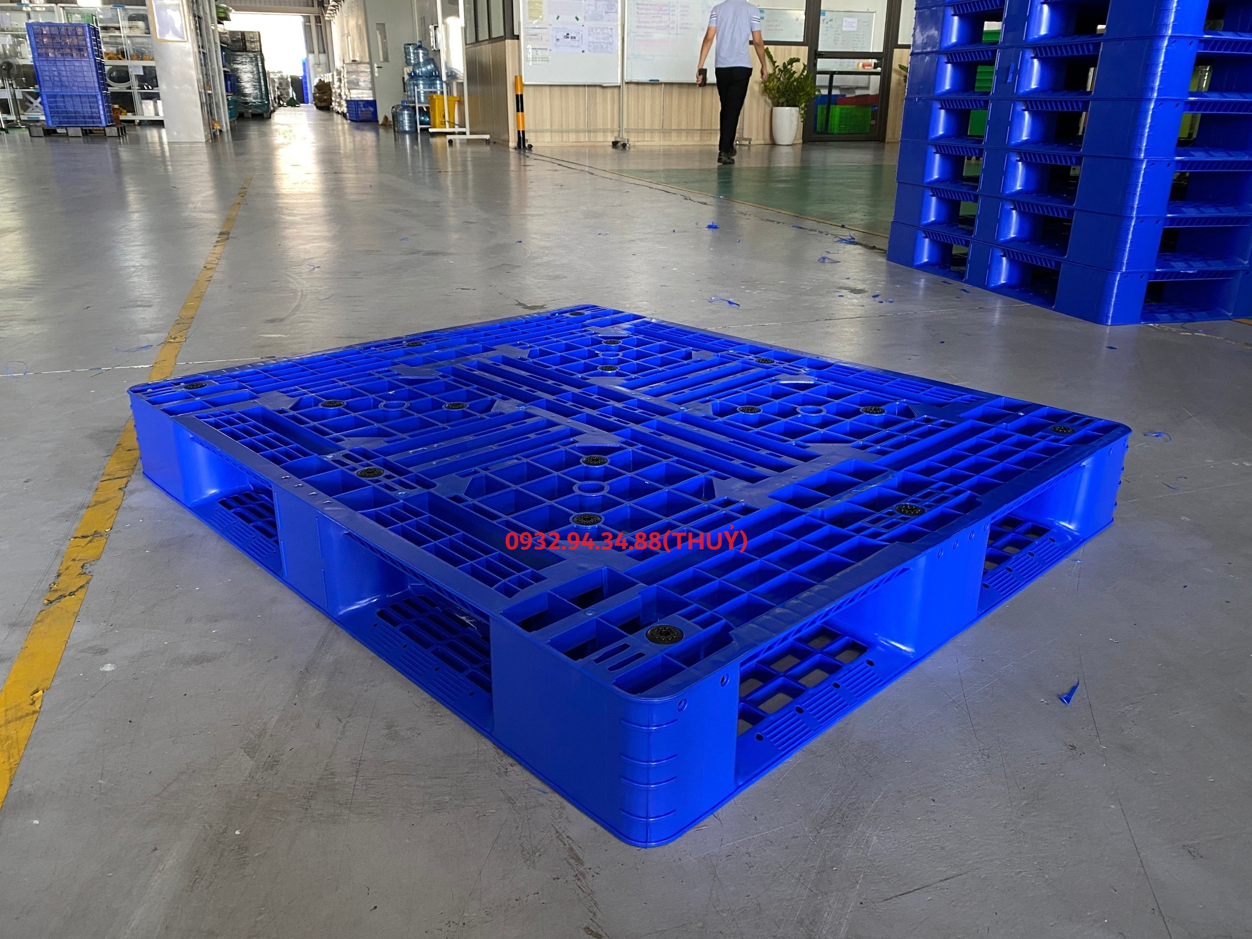các loại pallet nhựa thông dụng hiện nay