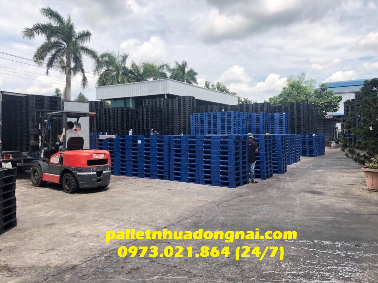 Pallet nhựa giá rẻ cạnh tranh, liên hệ 0973021864