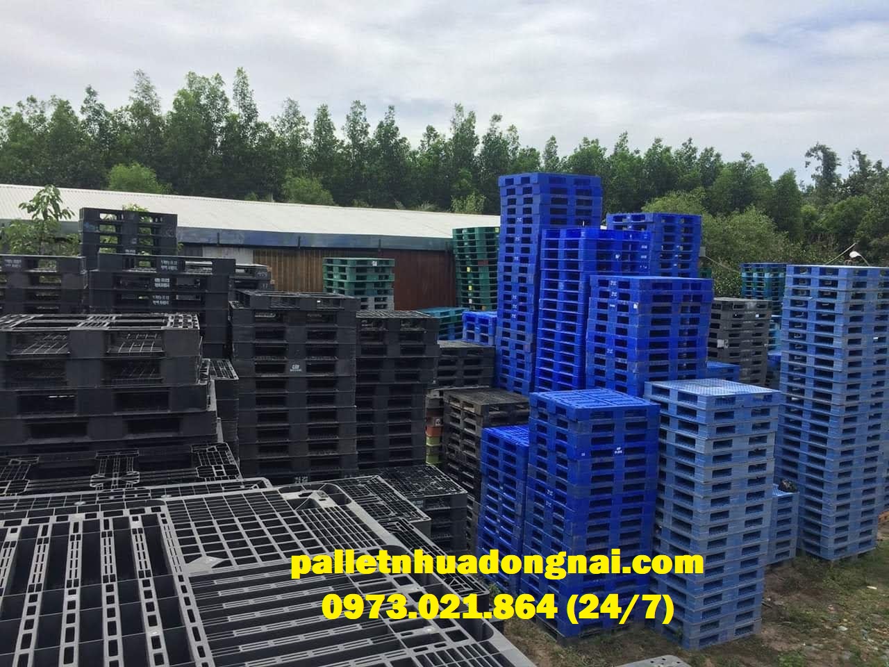 Pallet nhựa giá rẻ cạnh tranh, liên hệ 0973021864