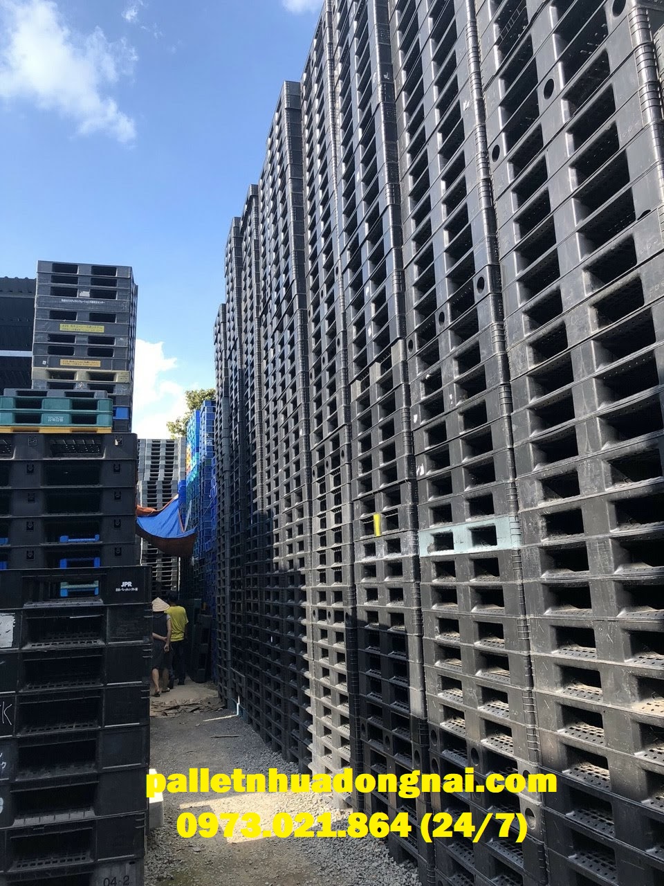 Pallet nhựa giá rẻ cạnh tranh, liên hệ 0973021864