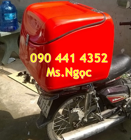 Thùng giao thực phẩm thú cưng, thùng chở mèo sau xe máy có khe hở