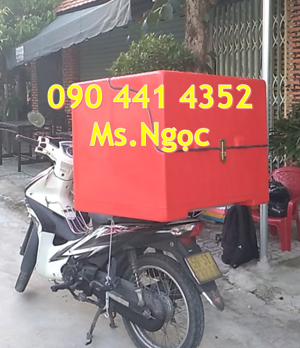 Thùng giao thực phẩm thú cưng, thùng chở mèo sau xe máy có khe hở