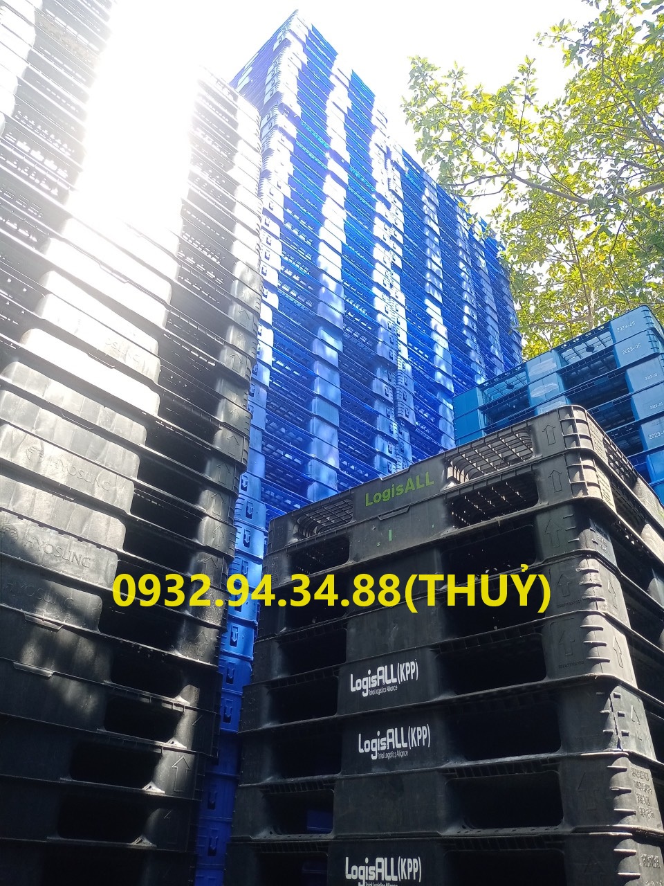 pallet nhựa tại Kom Tum uy tín chất lượng hiện nay