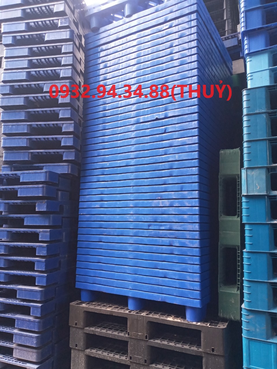 nơi phân phối pallet nhựa Gia Lai uy tín