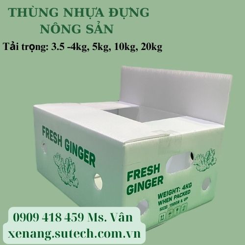 Thùng nhựa đựng gừng giá rẻ xuất khẩu tại Tp. HCM