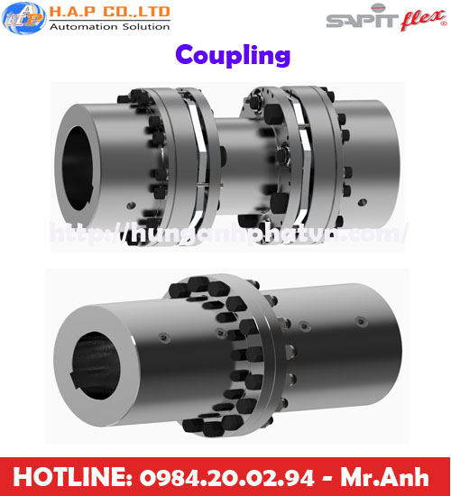 khớp nối truyền động Sapitflex tại việt nam