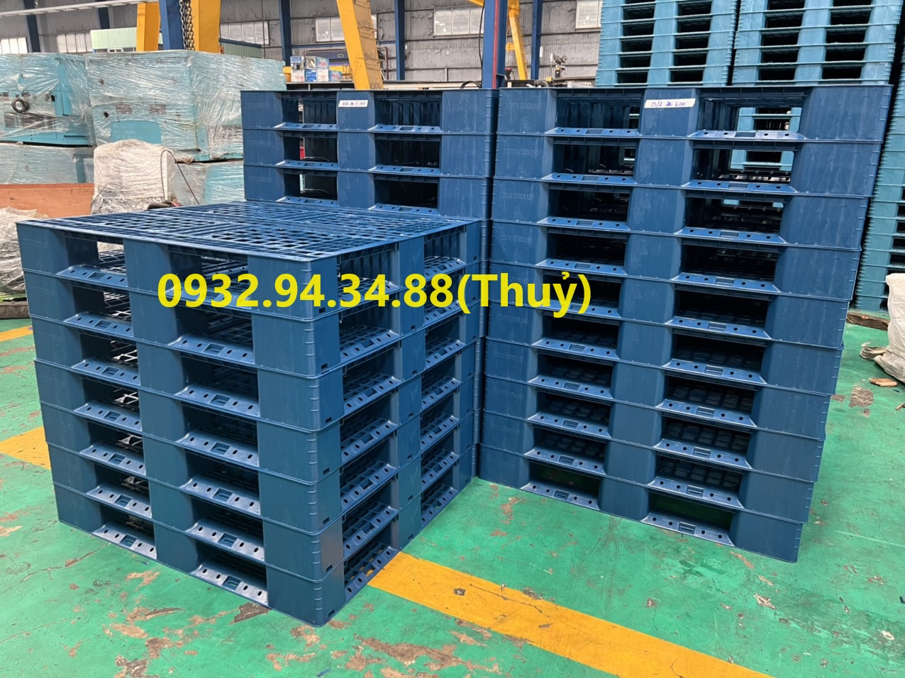 cung cấp pallet nhựa cũ tại Bà Rịa Vũng Tàu