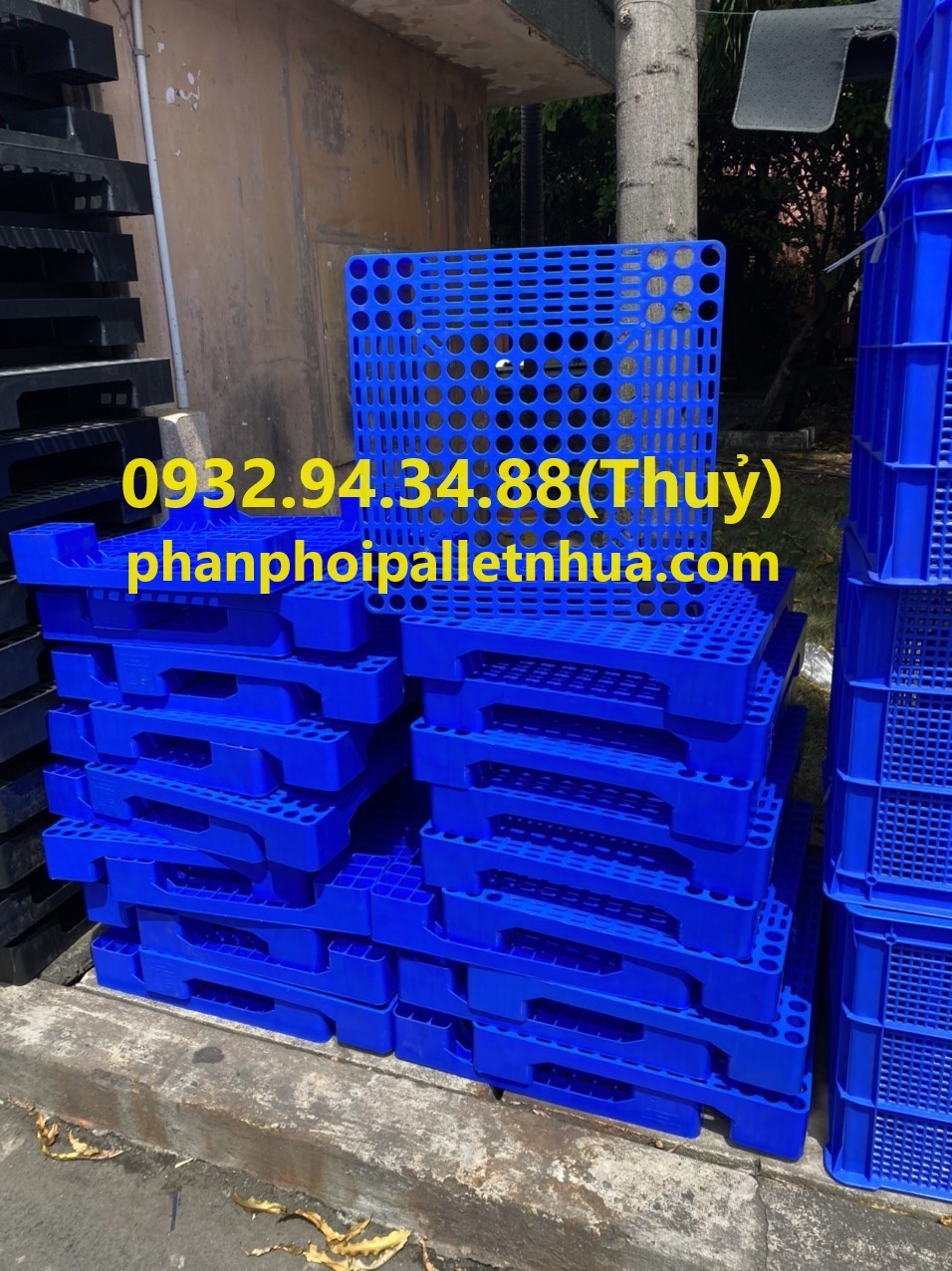 pallet nhựa kê sầu riêng, pallet nhựa kê nông sản giá rẻ