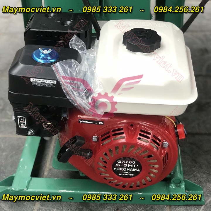 Công ty bán máy tuốt lạc đậu phộng tươi giá rẻ dùng đầu nổ VInmax TL65
