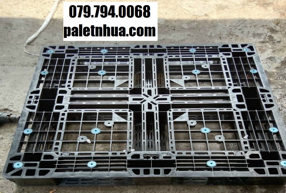 Chọn mua pallet nhựa, pallet nhựa cũ Gia Lai năm 2024