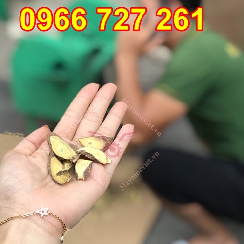Máy thái thuốc, thái dược liệu công nghiệp
