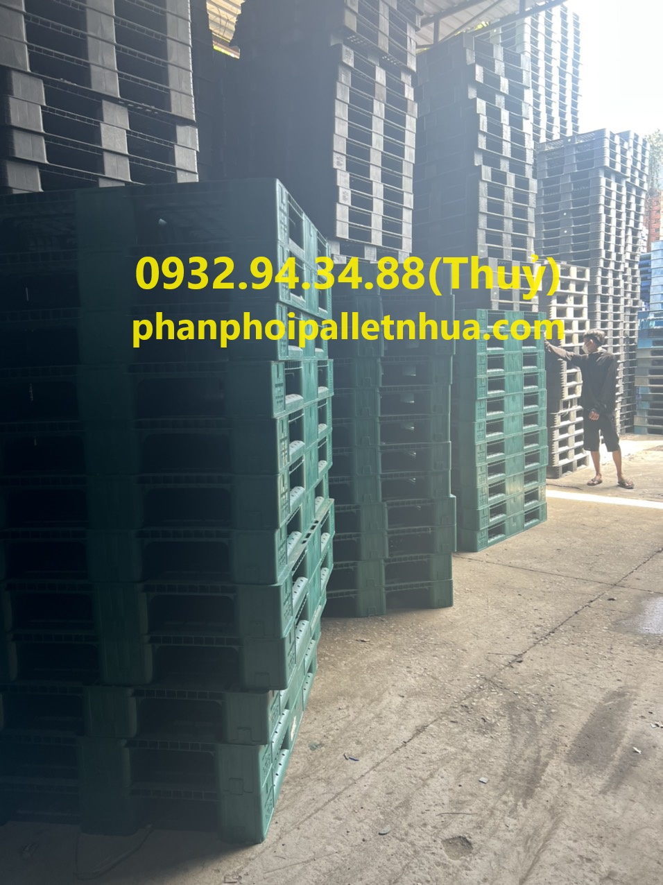 cung cấp pallet nhựa cũ tại Bình Dương, giao hàng miễn phí