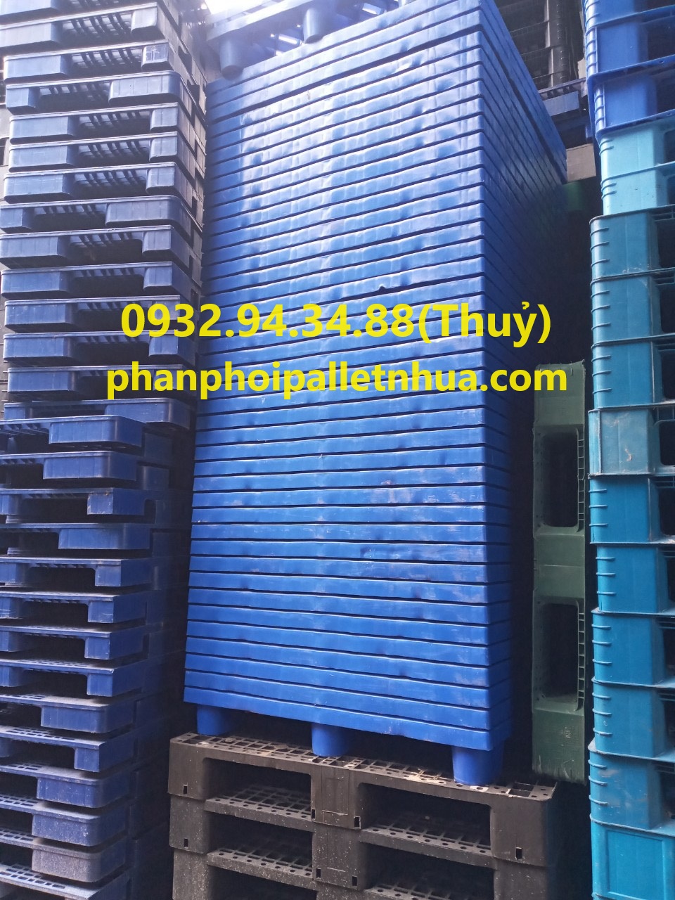 pallet nhựa sân khấu, tấm lót nhựa sân khấu, pallet nhựa làm sân khấu