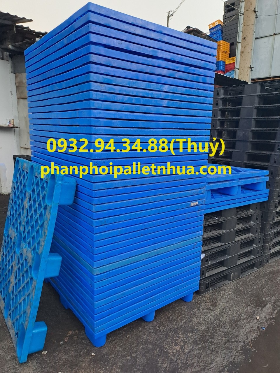 pallet nhựa sân khấu, tấm lót nhựa sân khấu, pallet nhựa làm sân khấu