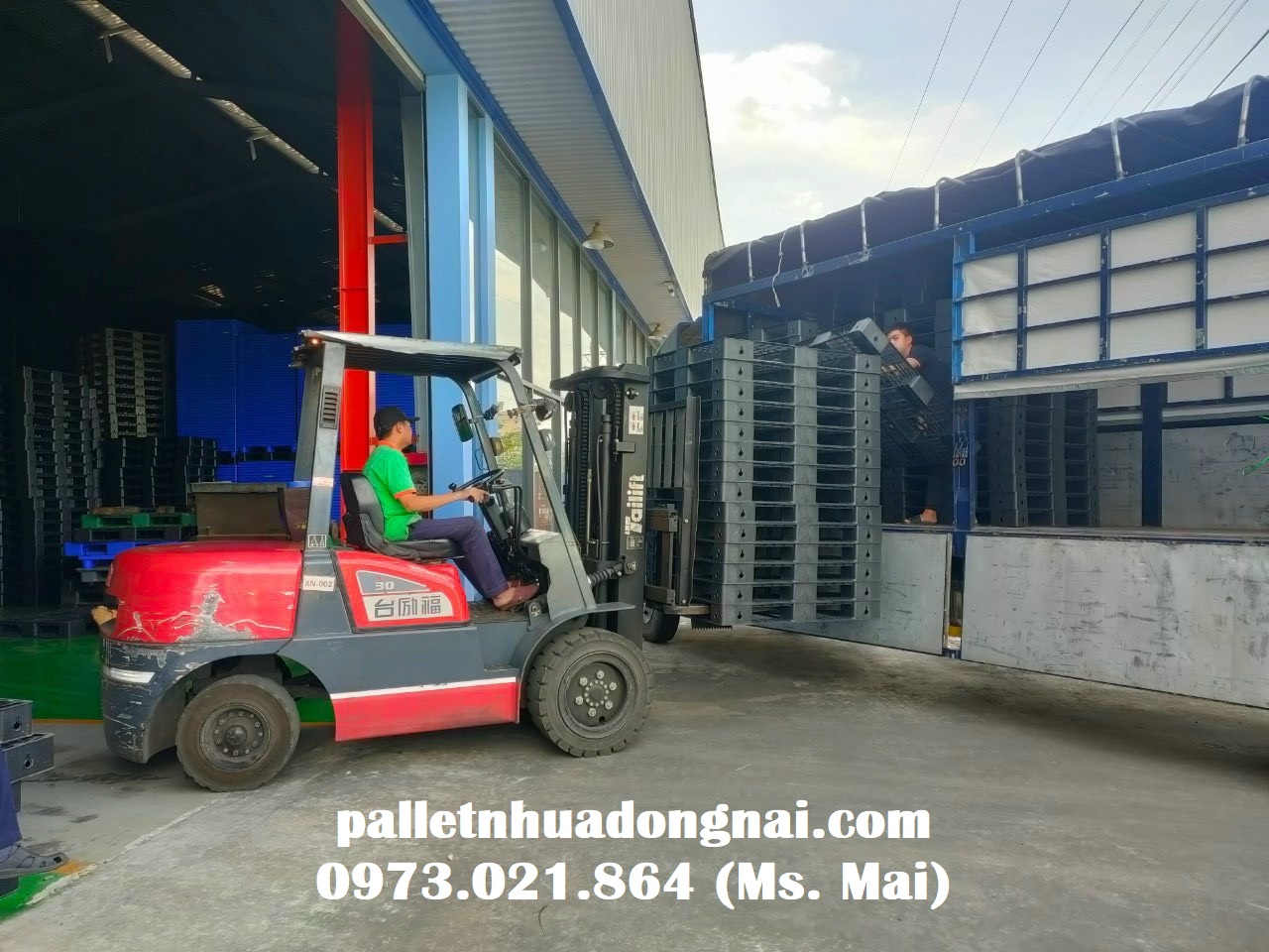 Pallet nhựa cũ giá rẻ cạnh tranh, lh 0973021864