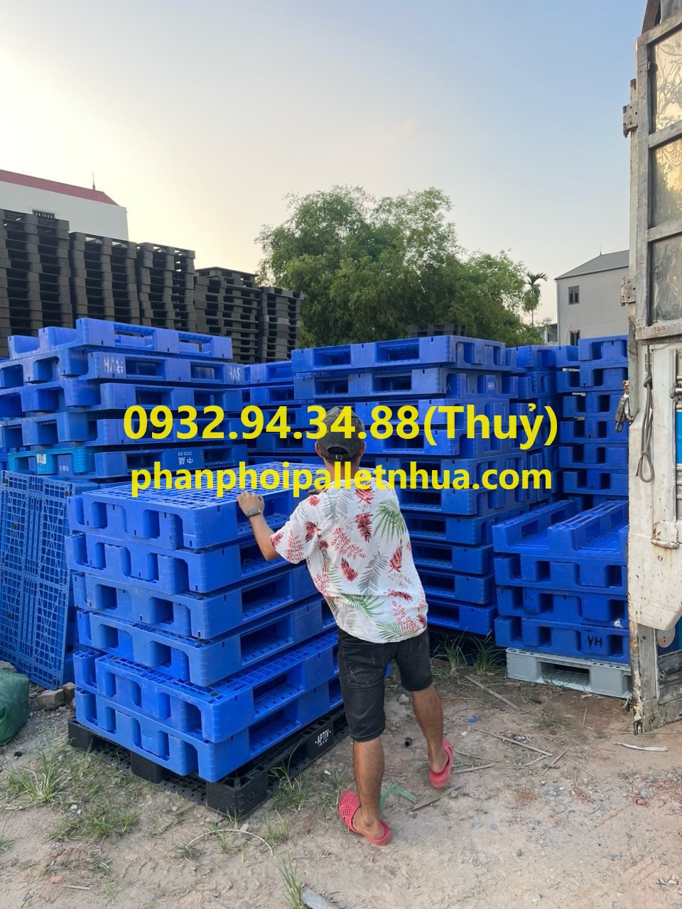 cung cấp pallet nhựa cũ tại Bà Rịa Vũng Tàu