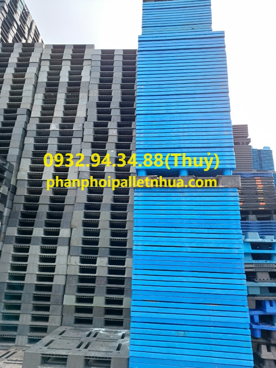 cung cấp pallet nhựa cũ tại Bà Rịa Vũng Tàu