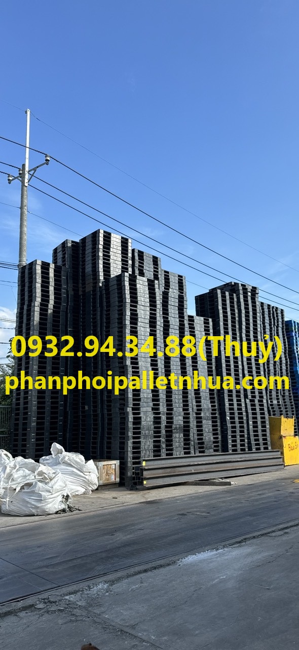 cung cấp pallet nhựa cũ tại Bà Rịa Vũng Tàu