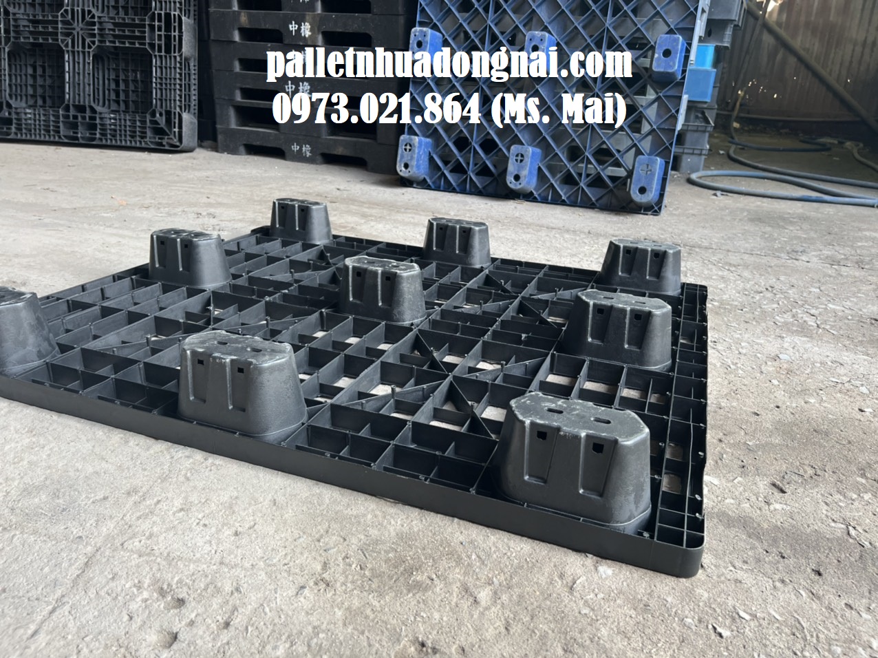 Pallet nhựa tại Bình Phước giá rẻ cạnh tranh