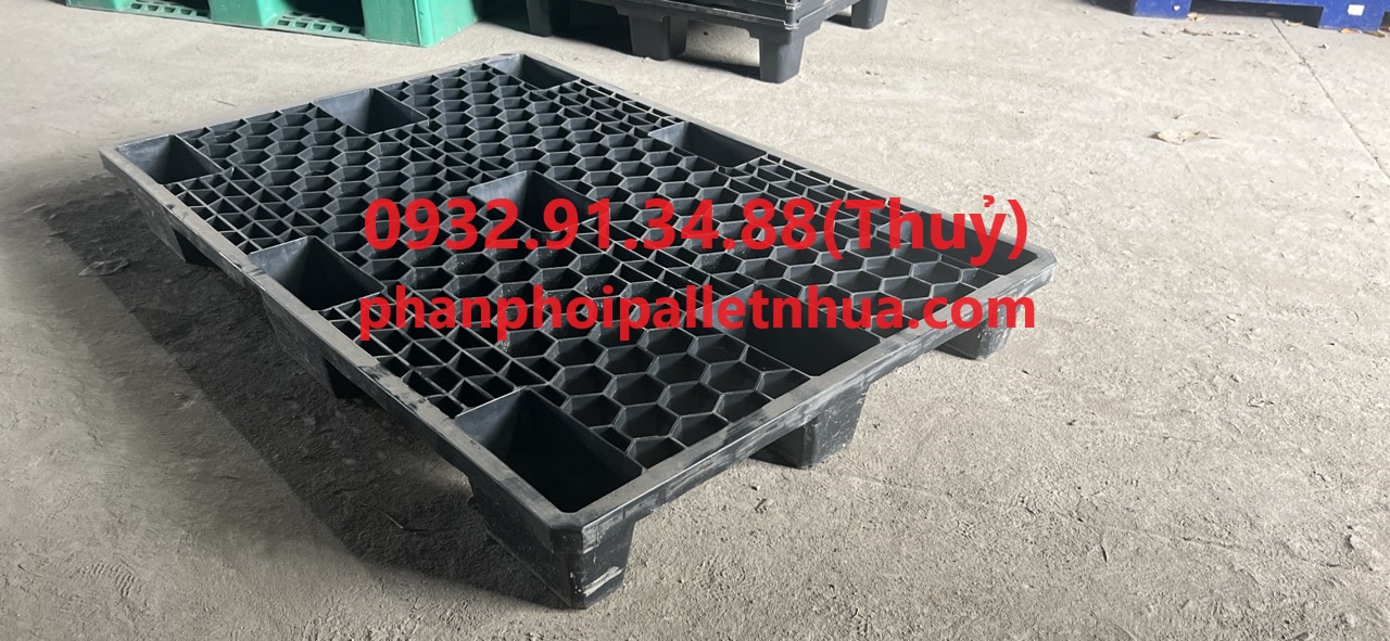 mua bán pallet nhựa kho đông uy tín chất lượng