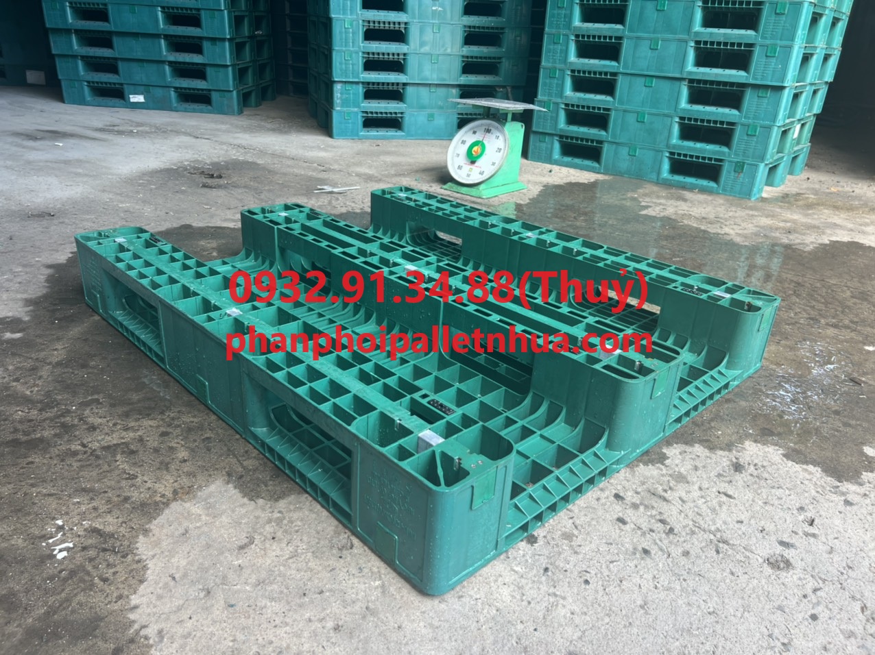 bán pallet nhựa dùng để kê hàng trong kho