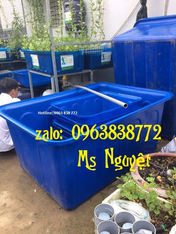 tank nhựa chữ nhật, tank nhựa màu xanh nuôi cá, thùng nhựa xanh