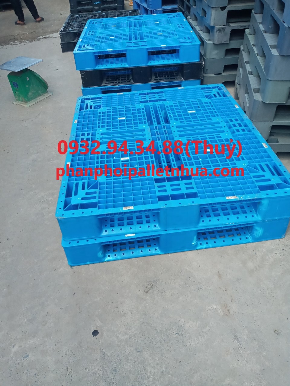 phân phối pallet nhựa giá rẻ tại Bình Thuận