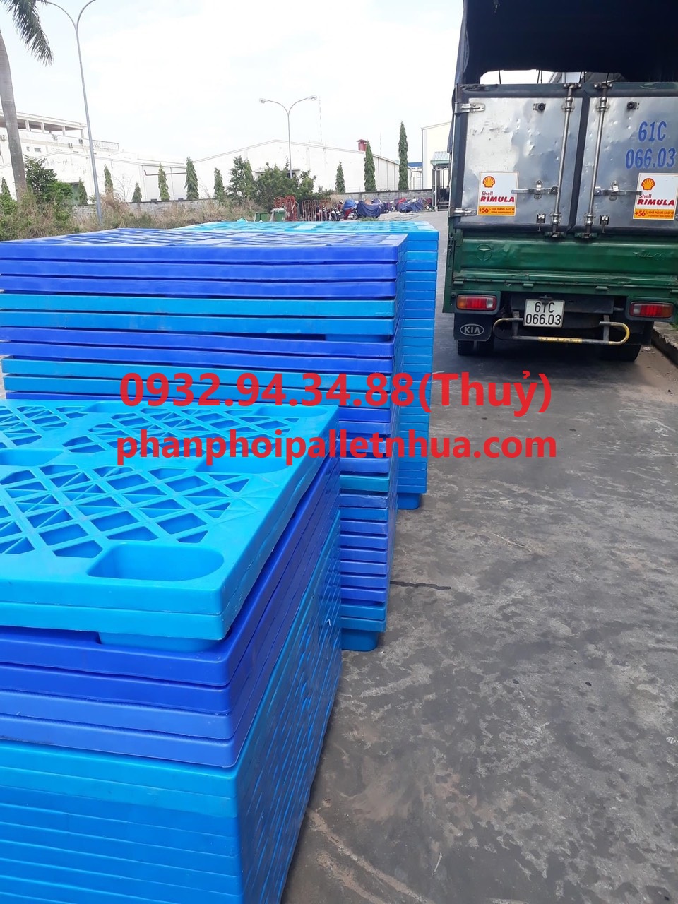 đại lý cung cấp pallet nhựa uy tín hiện nay- pallet nhựa Mai Phát