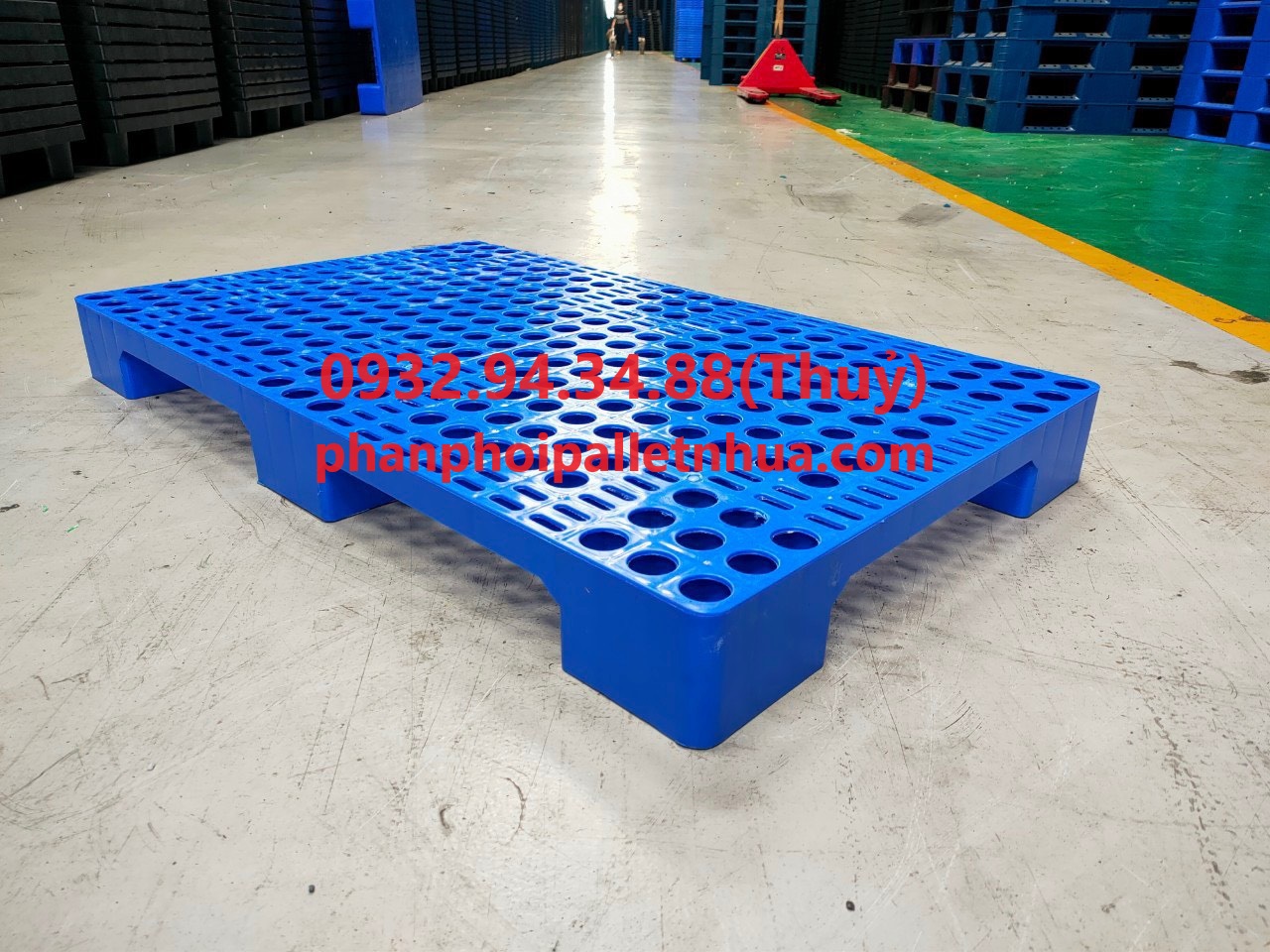 pallet nhựa tại Tây Ninh, giao hàng nhanh chóng