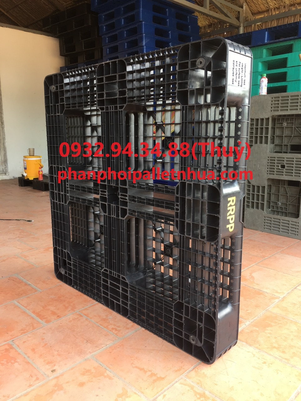 pallet nhựa tại Tây Ninh, giao hàng nhanh chóng