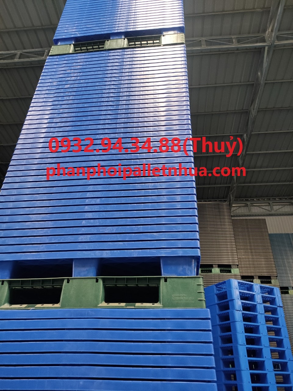 đơn vị nào bán pallet nhựa tại Bến Tre uy tín mà giá rẻ