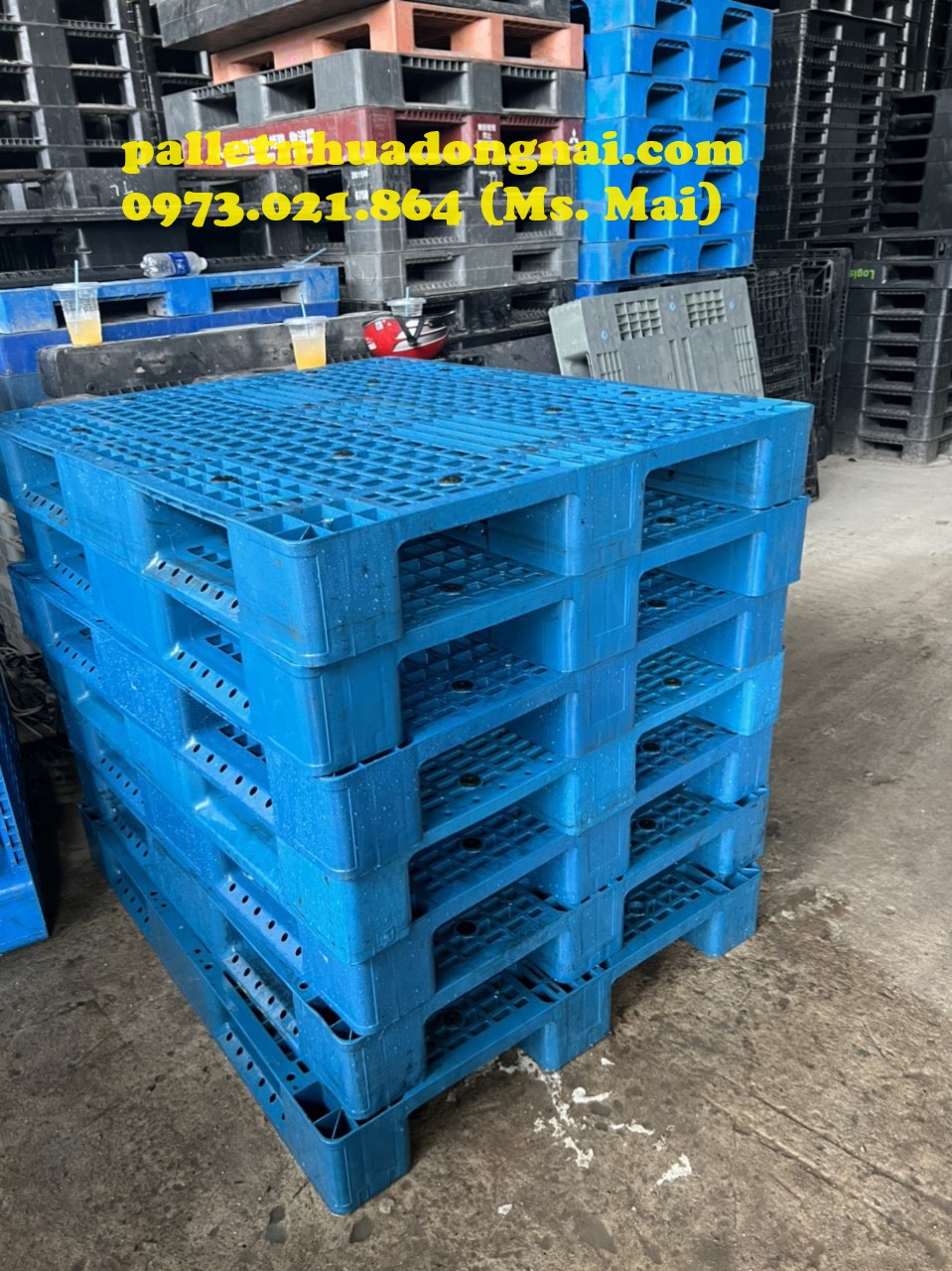 Phân phối pallet nhựa giá rẻ tại Bình Dương, liên hệ 0973021864