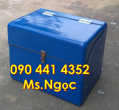 Thùng giao hàng nhựa giá rẻ, thùng ship hàng lạnh, thùng chở hàng đẹp