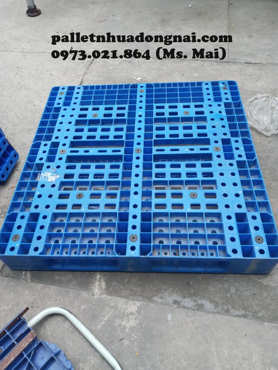 Cần mua pallet nhựa giá rẻ tại Sài Gòn, liên hệ 0973021864