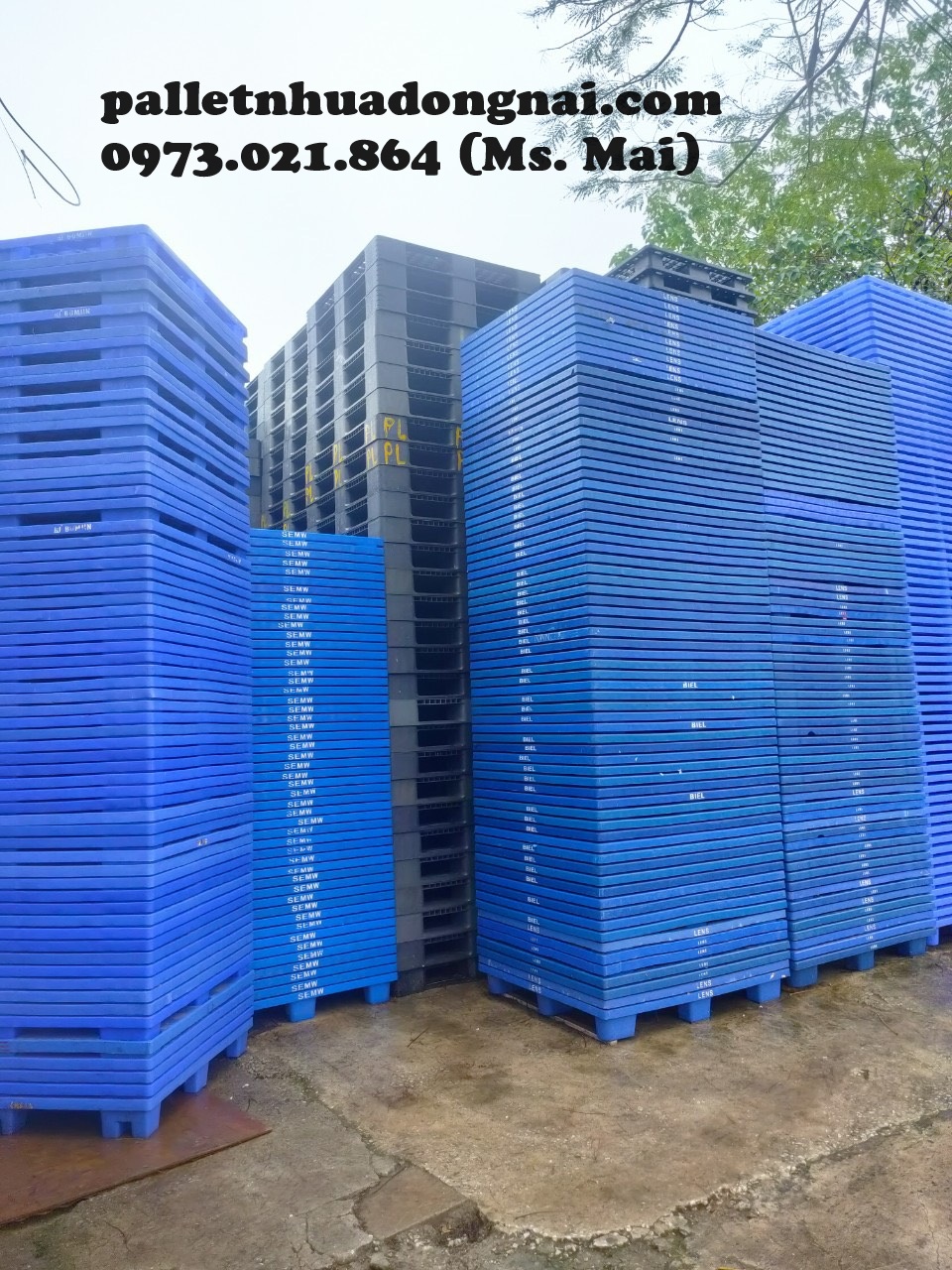 Pallet nhựa giá rẻ tại tây ninh, liên hệ 0973021864