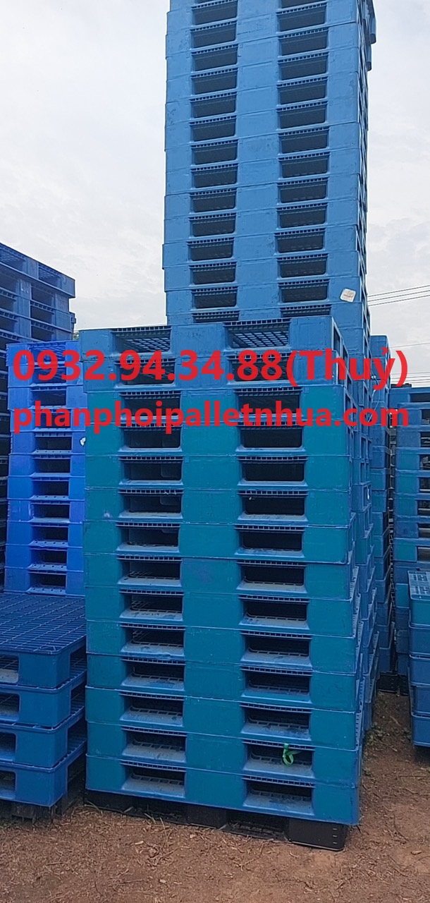 địa chỉ cho thuê pallet nhựa uy tín giá rẻ