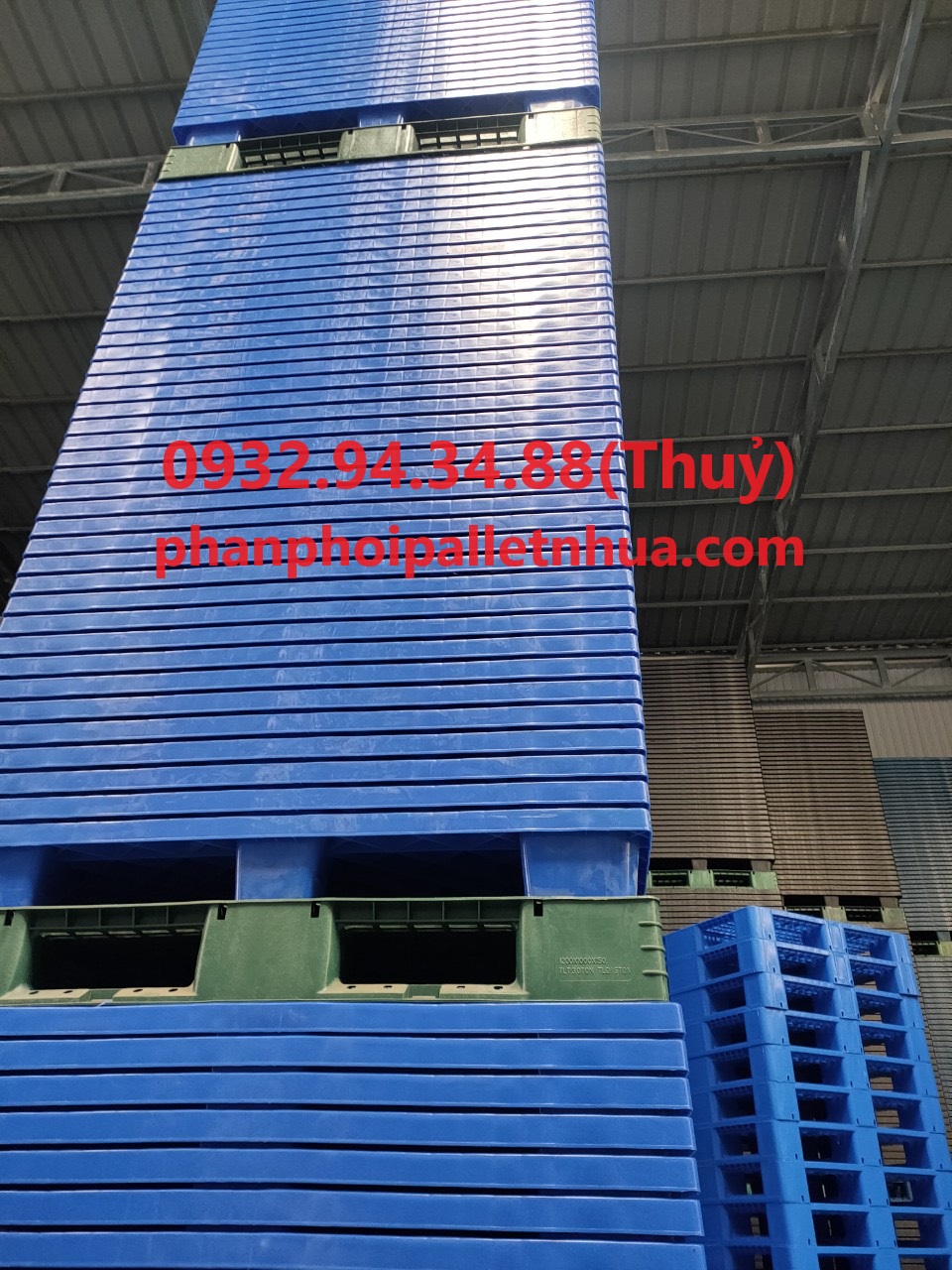 địa chỉ cho thuê pallet nhựa uy tín giá rẻ