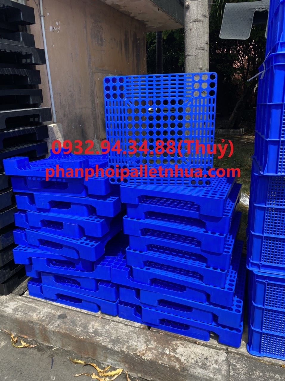 thủ tục nhập khâue pallet nhựa đã qua sử dụng