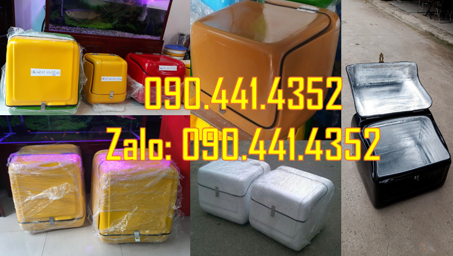 Thùng chuyển phát nhanh sau xe máy, sx thùng chở hàng sau xe máy đẹp