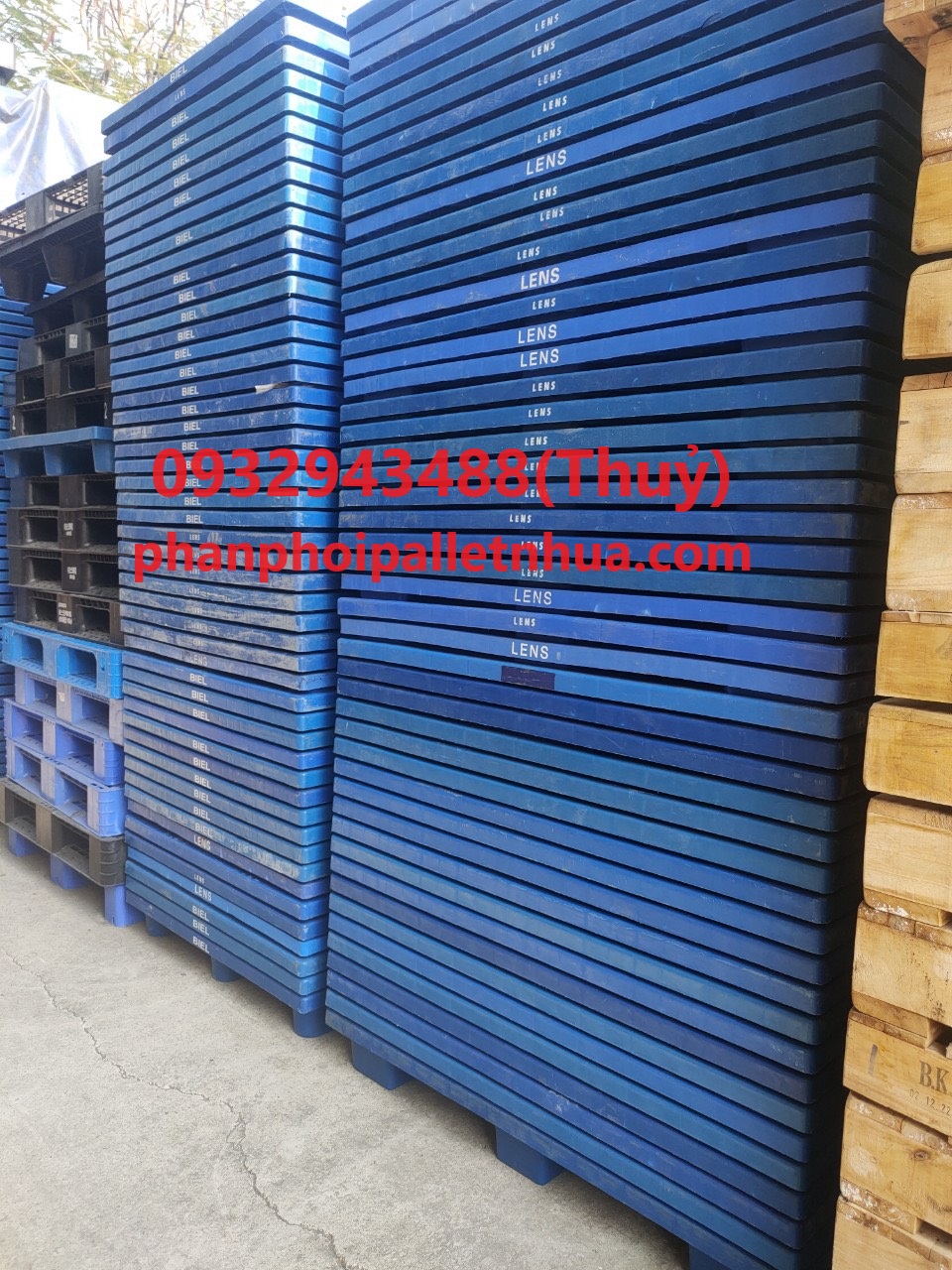 kích thước pallet nhựa cũ sử dụng phổ biến hiện nay