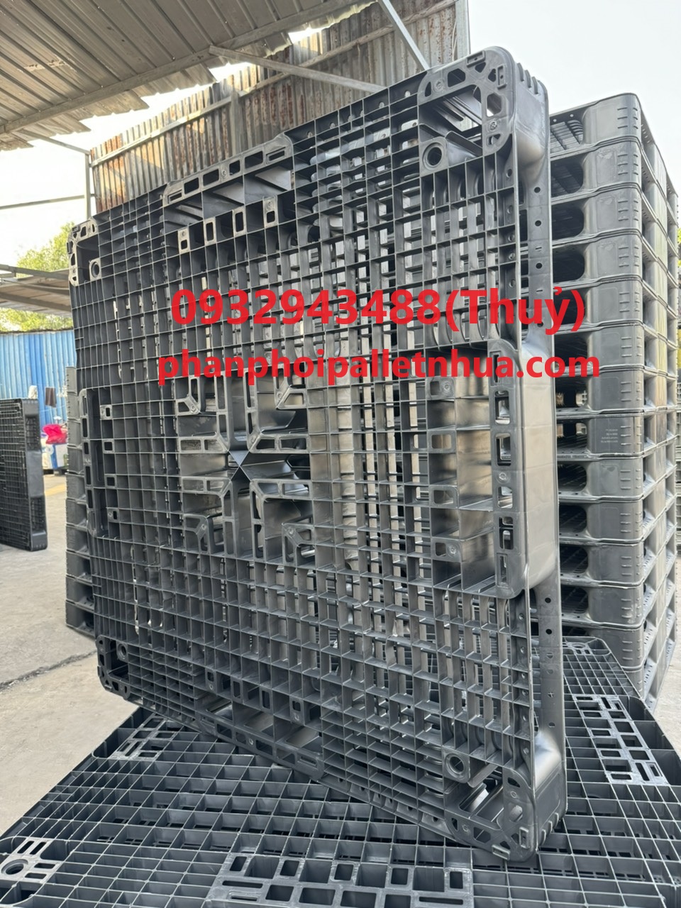kích thước pallet nhựa cũ sử dụng phổ biến hiện nay