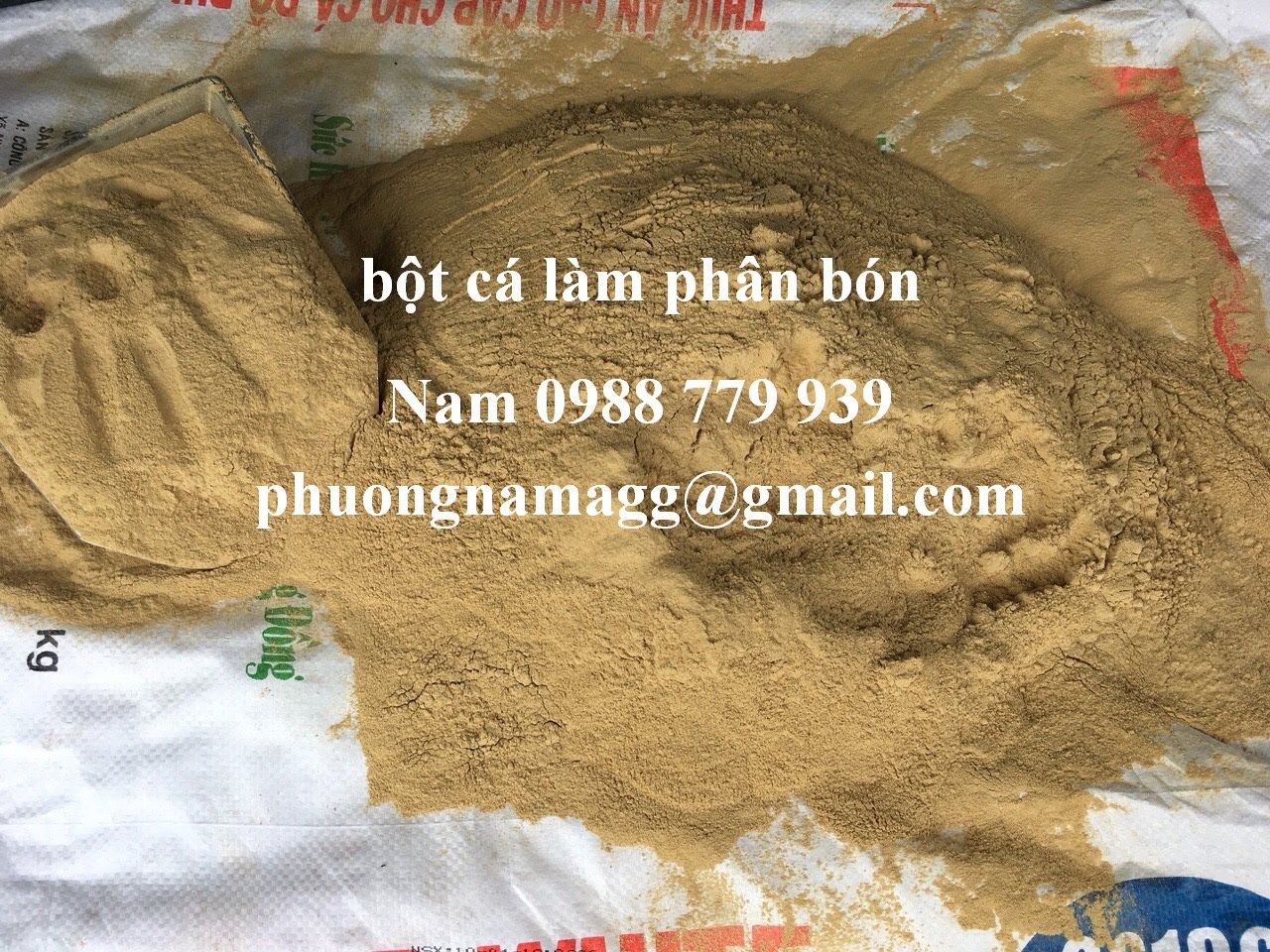 Bột cá làm phân hữu cơ, thuốc diệt ốc bươu vàng