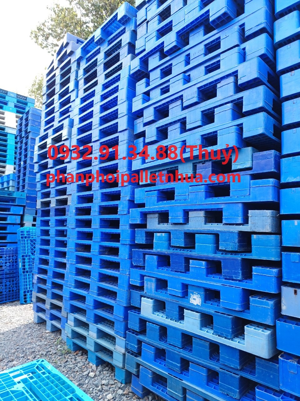 xưởng sản xuất pallet nhựa giá rẻ uy tín chất lượng