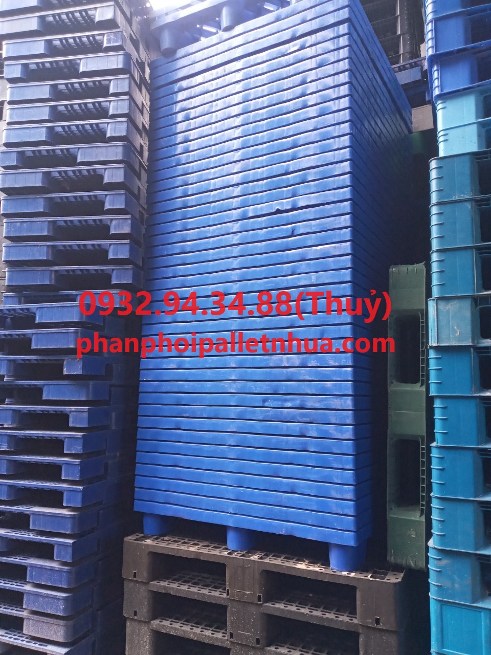 phân phối pallet nhựa liền khối 1 mặt giá rẻ