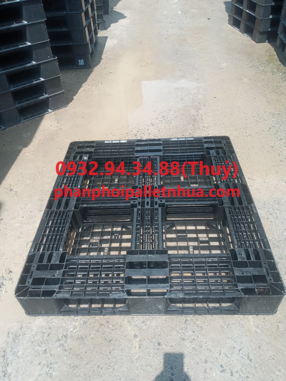 phân phối pallet nhựa liền khối 1 mặt giá rẻ