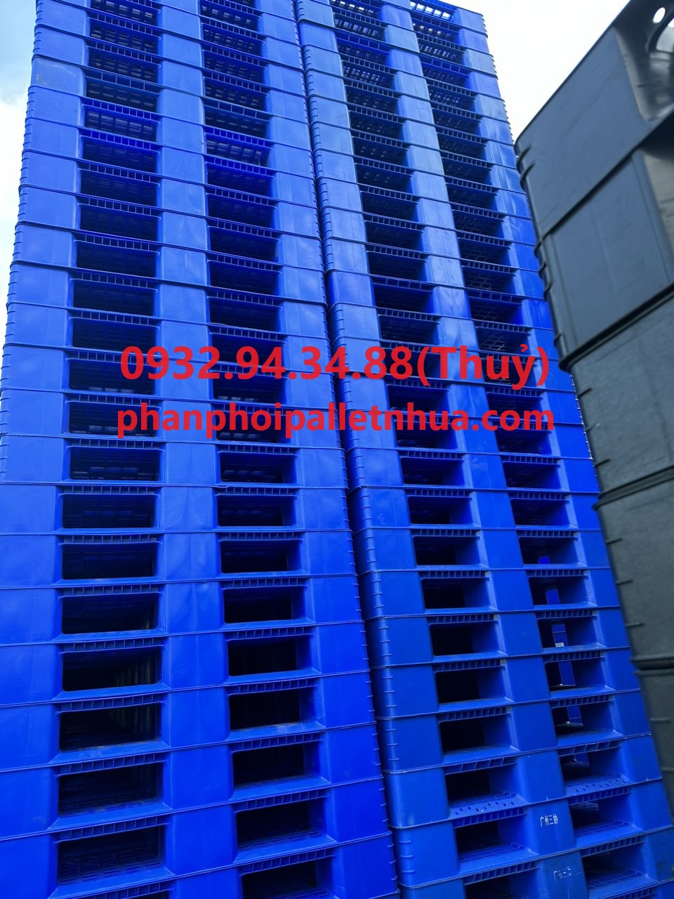 nơi phân phối pallet nhựa giá tốt nhất hiện nay