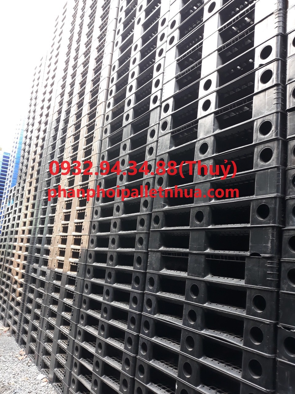 kích thước pallet nhựa được sử dụng phổ biến tại Việt Nam