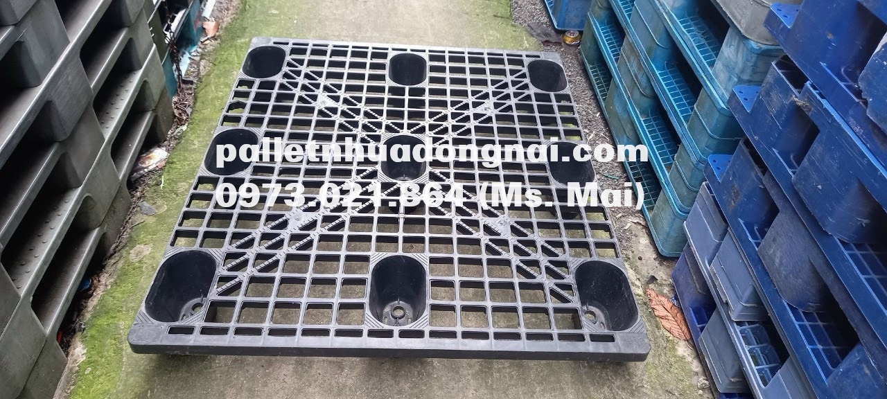 Pallet nhựa giá rẻ tại Bến Tre, liên hệ 0973021864